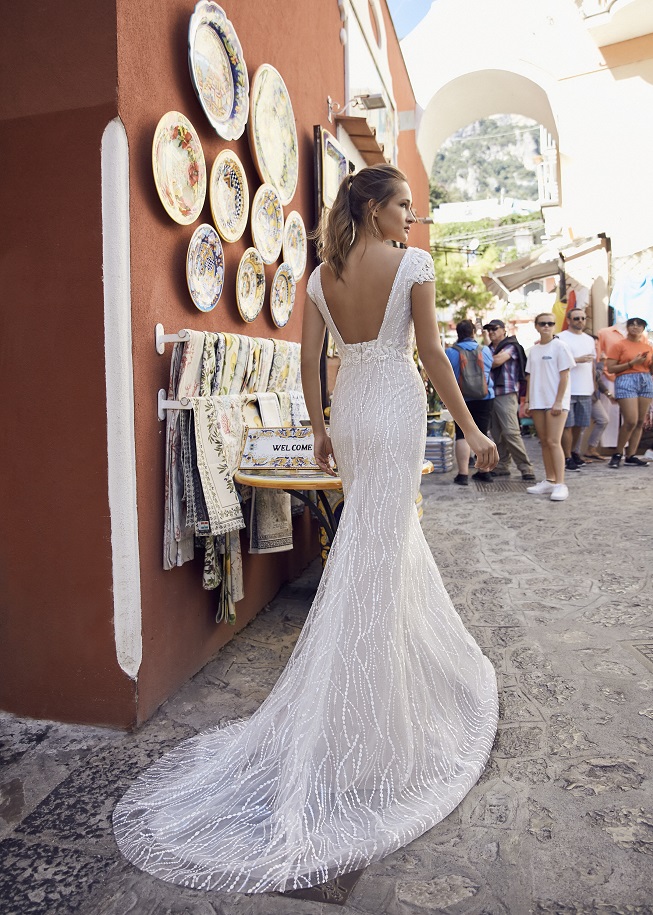 Libelle Mola